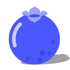 blueberry, illustration of an blueberry, fruit, vector illustration of an blueberry, fruit element, blueberry fruit, blue, food, wall decoration, for precentation, for education 