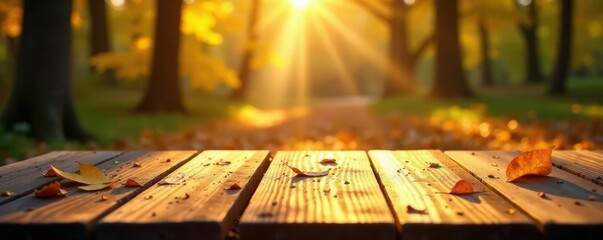 Golden light dances across the surface of a wooden table in an autumn forest, warm sunlight, fall colors, yellow leaves