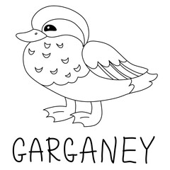 cute happy garganey with folded wings and paws with text below hand written