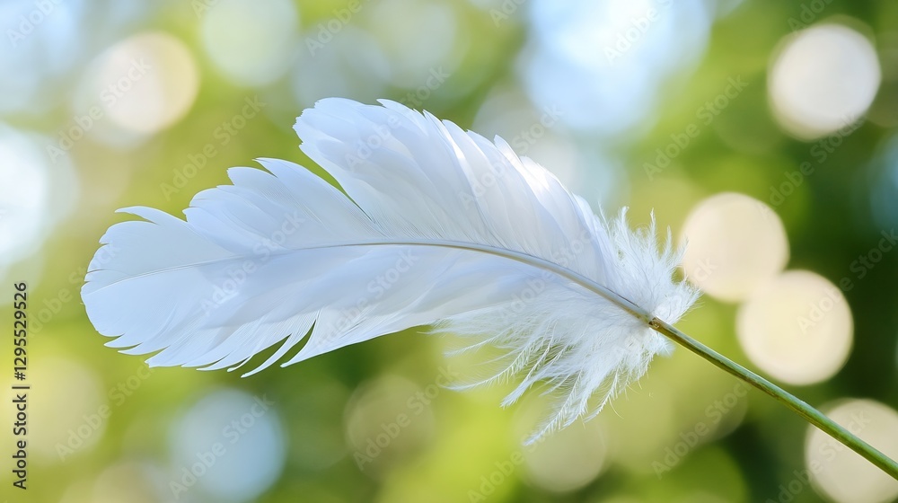 Leinwandbilder elegant white feather gracefully floating against a soft green bokeh background : generative ai