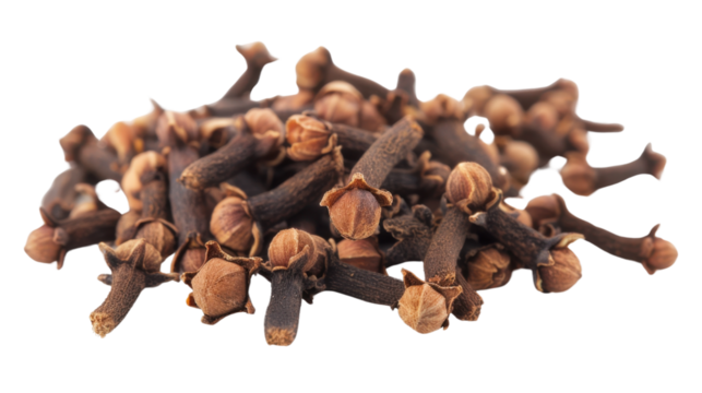 Pile of dried cloves forming a small mound on transparent background