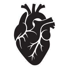 Detailed Silhouette Anatomical Heart Vector Graphic for Medical Designs
