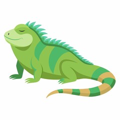 chameleon  illustration on white background