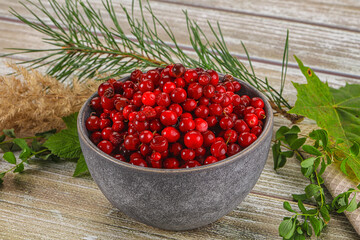 Natural organic wild forwst lingonberry