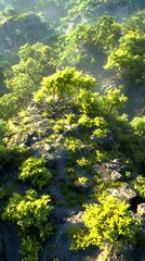 Lush Green Forest Landscape with Sunlight and Misty Mountains