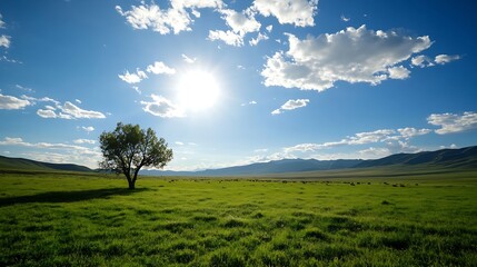 Obraz premium Lush green meadow under a clear blue sky with a single tree basking in the sunlight : Generative AI