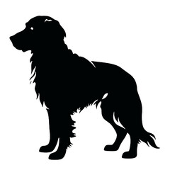 Golden Retriever –  Silhouettes