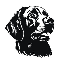 Fototapeta premium Golden Retriever dog vector illustration 