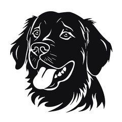 Golden Retriever dog   vector illustration 