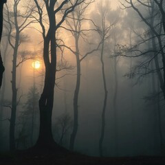 Obraz premium Ancient forest with misty dawn, eerie silence, mystery, shadows, fog