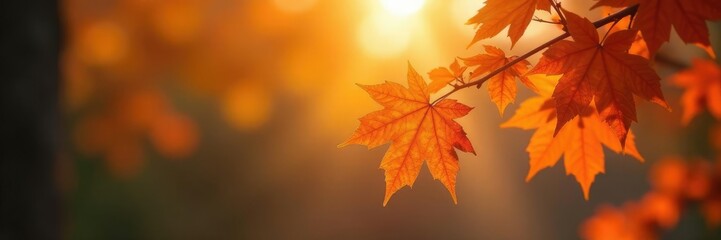 An orange maple branch with leaves and a soft focus autumnal scene, warm light, sun, orange