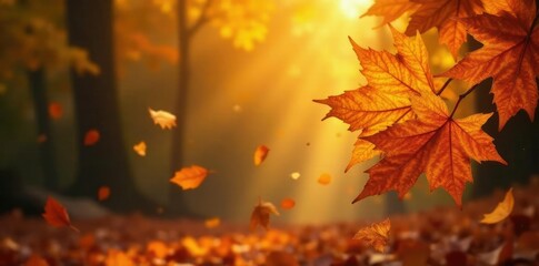 Golden hues of autumn leaves unfolding like nature's confetti, autumn colors, autumn leaves, nature