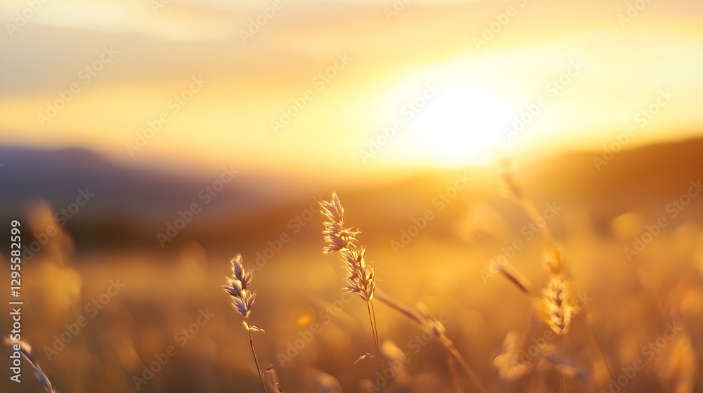 Poster golden sunset over a field of grass captured in soft focus creating a serene mood : generative ai