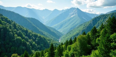 Fototapeta premium Lush forest canopy above rugged mountain peaks, foliage, trees, hills