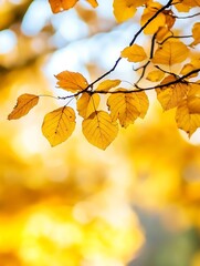 Obraz premium Close Up of Bright Yellow Leaves on Tree Branches with Soft Focus Background in Autumn Season : Generative AI