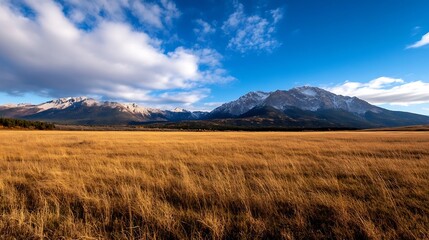 Stunning Panoramic View of SnowCapped Mountains Under a Blue Sky Surrounded by Expansive Golden Grasslands : Generative AI