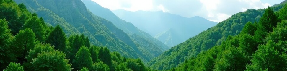 Obraz premium Lush green forest covering the slopes of the mountain, slope, wild