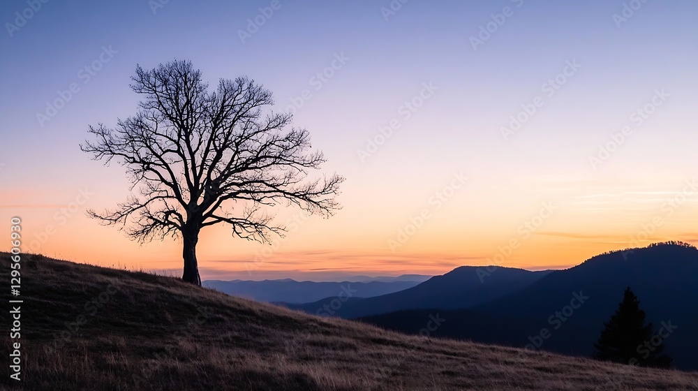 Poster silhouette of a lone tree against a beautiful sunset creating a serene landscape in the mountains : 