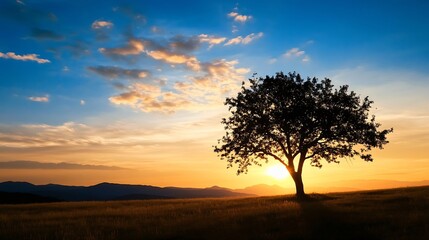 Obraz premium Lonely Tree Standing in a Field at Sunset with Colorful Sky and Landscape : Generative AI