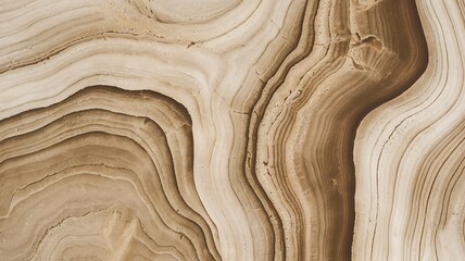 Earthy Elegance: Intricate patterns of wood grain reveal a natural and organic surface with detailed textures, capturing the timeless beauty of nature's artistry.