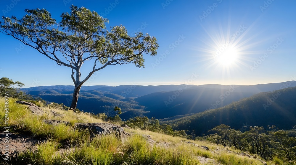 Poster Breathtaking view of a solitary tree against a backdrop of rolling hills and a bright sun : Generative AI