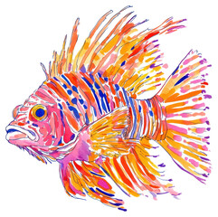 PNG Lionfish illustration watercolor lionfish.