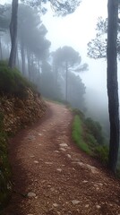 Fototapeta premium Misty mountain path, winding trail