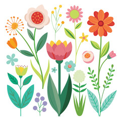 Collection of  flowers and branches illustration