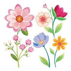Collection of  flowers and branches illustration
