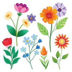 Collection of  flowers and branches illustration
