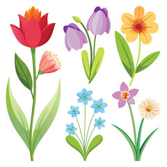 Collection of  flowers and branches illustration