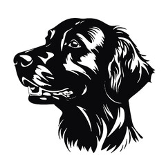 Obraz premium Black Silhouette of a Golden Retriever 