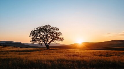 Obraz premium Beautiful sunset over a solitary tree in a serene landscape : Generative AI