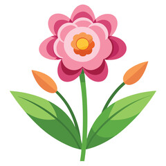 Collection of  flowers and branches illustration