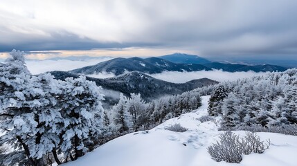 Stunning winter landscape showcasing snowcovered trees and a dramatic mountain view under a cloudy sky : Generative AI