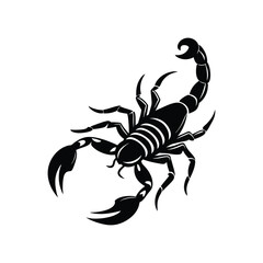 Scorpion silhouette isolated on white background