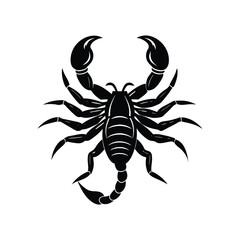 Scorpion silhouette isolated on white background