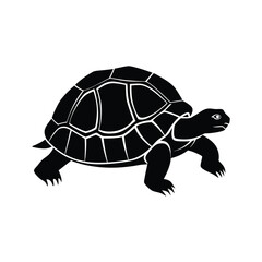 Tortoise silhouette isolated on white background