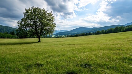 Obraz premium Lush green landscape featuring a solitary tree illuminated by sunlight under a clear blue sky : Generative AI