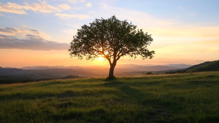 Obraz premium Isolated Tree on Hilltop Against Sunset with Golden Sky and Scenic View : Generative AI