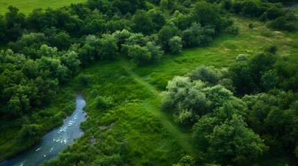 Aerial view of lush green forest and winding river illustrating the beauty of rural landscapes : Generative AI