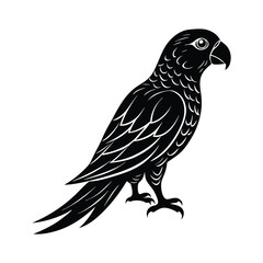 Parrot silhouette isolated on white background