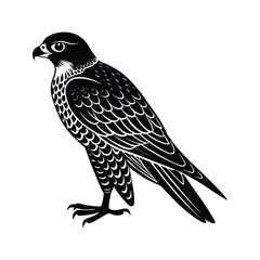 Falcon silhouette isolated on white background