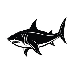 Shark silhouette isolated on white background