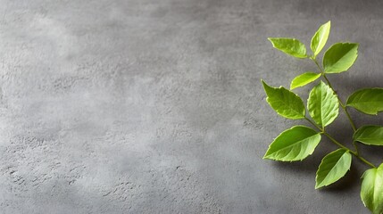Elegant arrangement of green leaves on a textured grey background enhancing minimalist design aesthetics : Generative AI