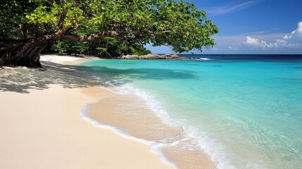 Fototapeta premium Tranquil Beach Scene Turquoise Water White Sand Lush Tree