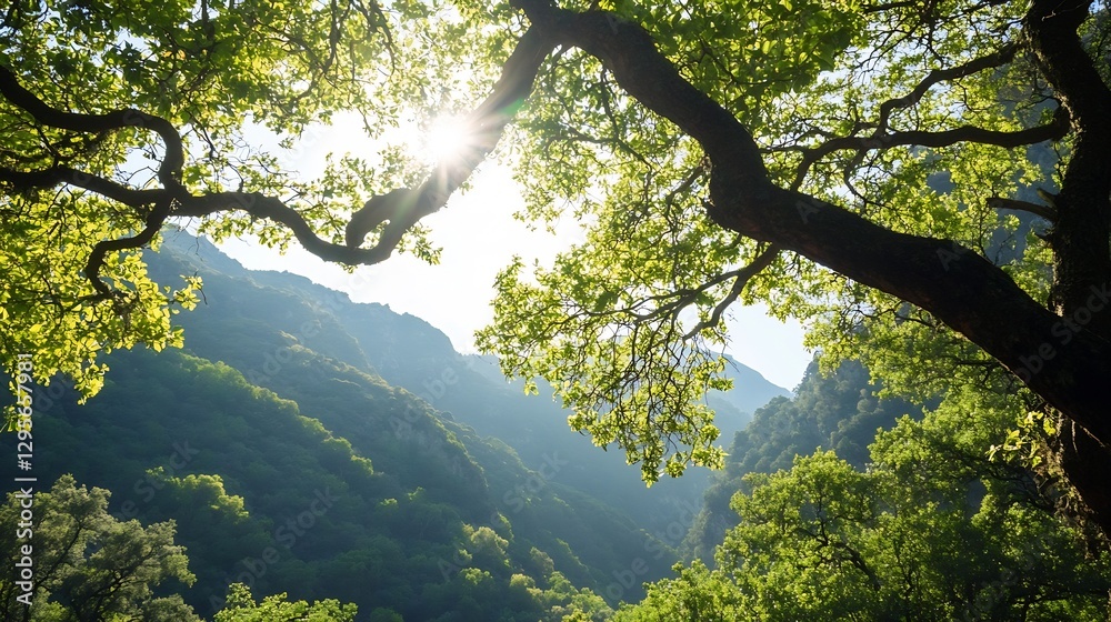 Aufkleber Sunlight filtering through tree branches creating a magical forest atmosphere on a sunny day : Generative AI