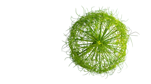 Green abstract sphere rotating on transparent background