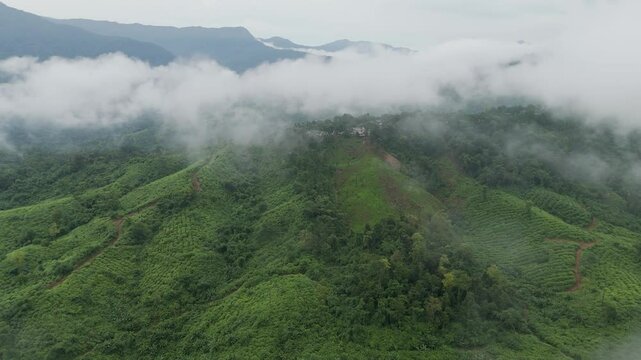 A drone glides through white clouds, revealing a spectacular aerial view of lush, fog-kissed forest hills.