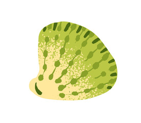 Icon of cute green cockle. Exotic seashell of clam. Tropical sea shell of mollusk. Cute drawn scallop, cockleshell. Decoration from ocean, beach. Flat isolated vector illustration on white background